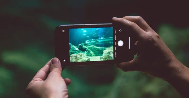Le divertissement interactif sur mobile : une révolution pour les utilisateurs ?