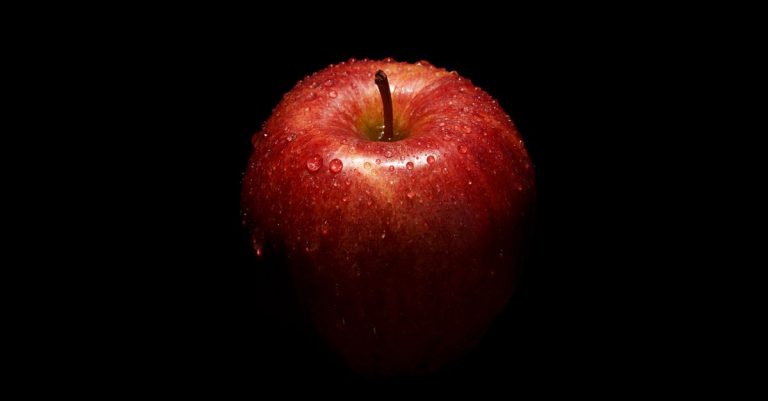 Test de Shoot the Apple sur Android